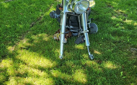 Gebrauchtmotorrad Harley-Davidson Softail Fat Boy FLSTF - Bild 2