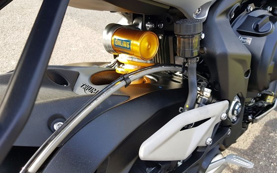 Neufahrzeug Triumph Street Triple 765 RS - Bild 9