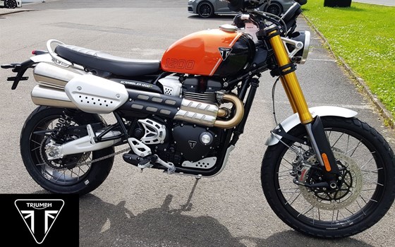 Neufahrzeug Triumph Scrambler 1200 XE - Bild 1