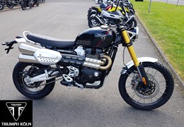 Neumotorrad Triumph Scrambler 1200 XE