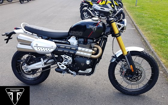 Neufahrzeug Triumph Scrambler 1200 XE - Bild 1