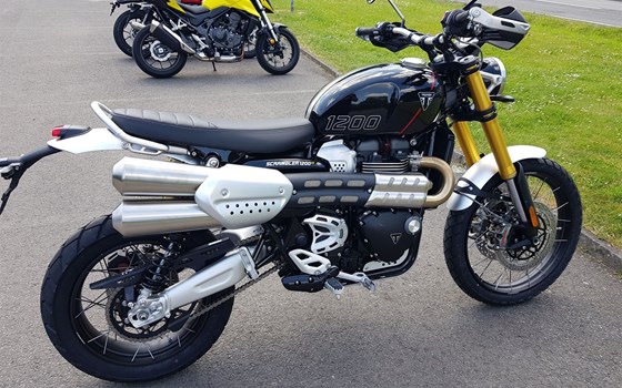 Neufahrzeug Triumph Scrambler 1200 XE - Bild 9