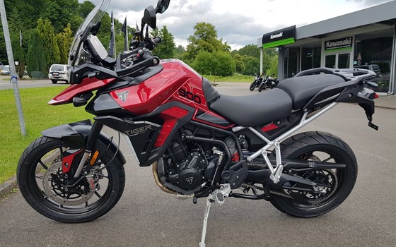Neufahrzeug Triumph Tiger 900 GT Pro - Bild 3