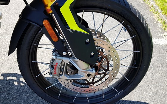 Neufahrzeug Triumph Tiger 900 Rally Pro - Bild 9