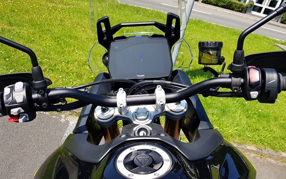 Neufahrzeug Triumph Tiger 900 Rally Pro - Bild 4