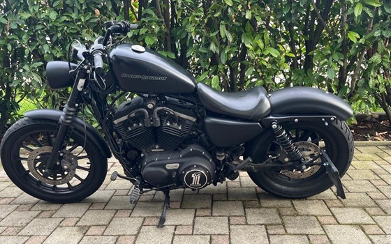 Gebrauchtmotorrad Harley-Davidson Sportster XL 1200NS Iron - Bild 1