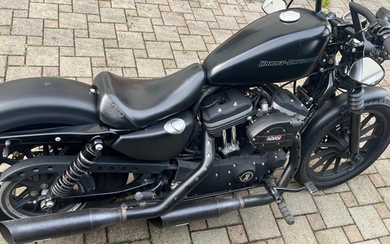 Gebrauchtmotorrad Harley-Davidson Sportster XL 1200NS Iron - Bild 3