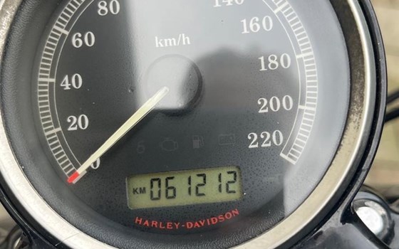 Gebrauchtmotorrad Harley-Davidson Sportster XL 1200NS Iron - Bild 4