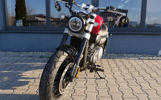 Neufahrzeug Benda Chinchilla 125 - Bild 11