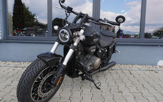 Neufahrzeug Benda Chinchilla 125 - Bild 15