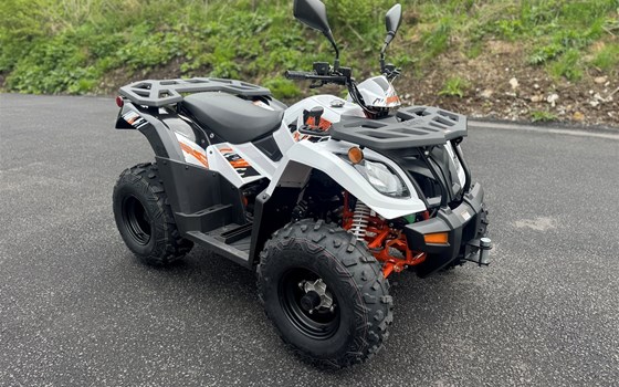 Neufahrzeug Kayo A 300 - Bild 7