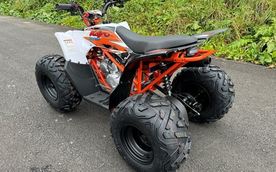 Neufahrzeug Kayo AT 125 - Bild 7