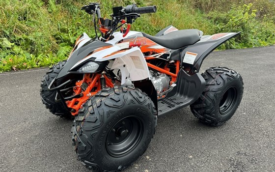 Neufahrzeug Kayo AT 125 - Bild 9