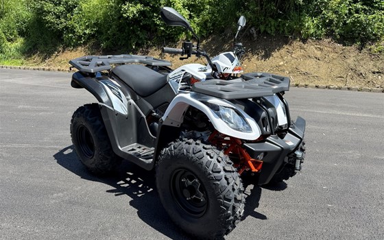 Neufahrzeug Kayo AU 200 - Bild 7