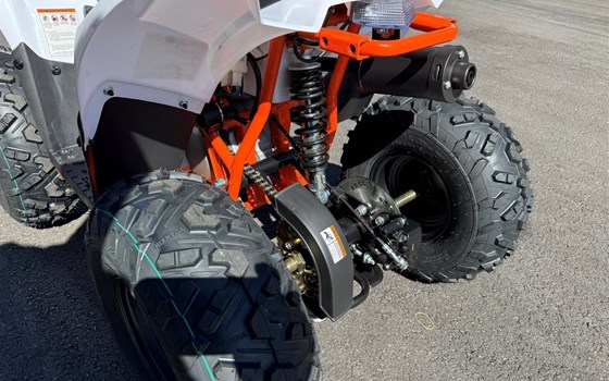 Neufahrzeug Kayo Fox 70 - Bild 7