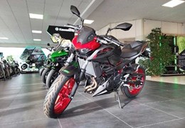 Neumotorrad Kawasaki Z 500 SE