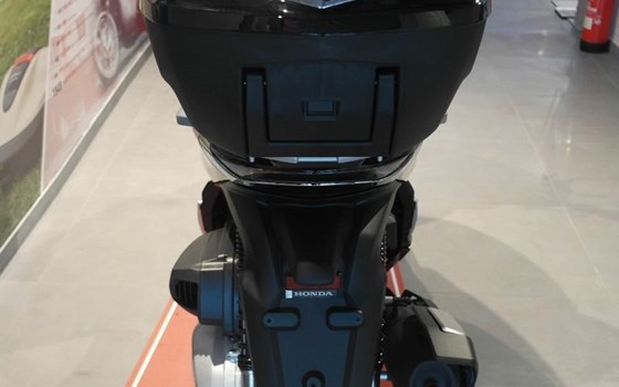 Neufahrzeug Honda SH350i - Bild 14