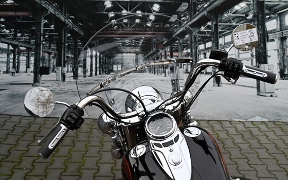 Gebrauchtmotorrad Harley-Davidson Softail Heritage Classic Anniversary - Bild 13