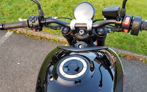 Neufahrzeug Triumph Trident 660 - Bild 4