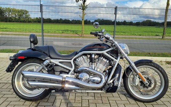 Gebrauchtmotorrad Harley-Davidson V-Rod VRSCAW - Bild 1