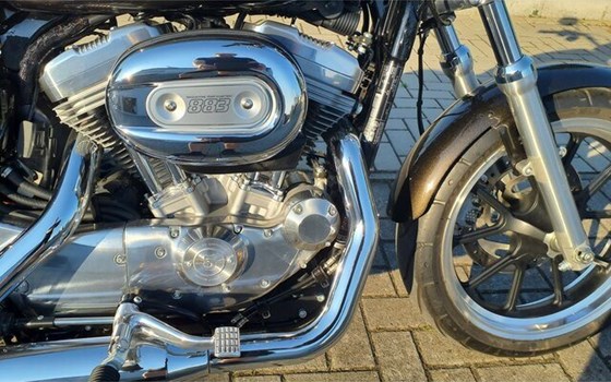 Gebrauchtmotorrad Harley-Davidson Sportster XL 883 L SuperLow - Bild 10