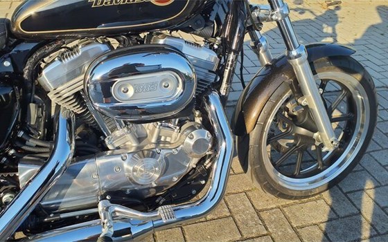 Gebrauchtmotorrad Harley-Davidson Sportster XL 883 L SuperLow - Bild 11