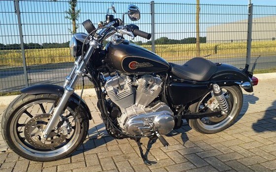 Gebrauchtmotorrad Harley-Davidson Sportster XL 883 L SuperLow - Bild 2