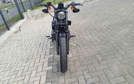 Gebrauchtmotorrad Harley-Davidson Sportster XL 883 N Iron - Bild 4