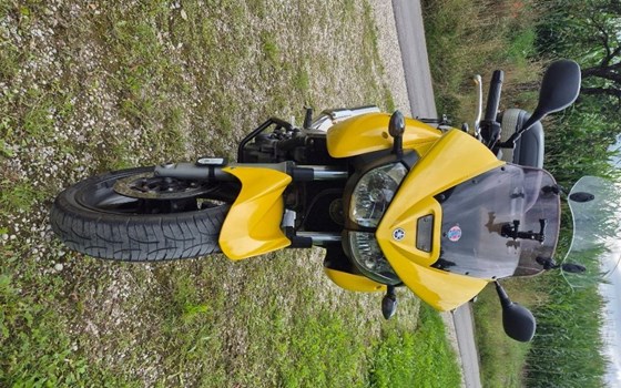 Gebrauchtmotorrad Yamaha TDM 900 - Bild 2