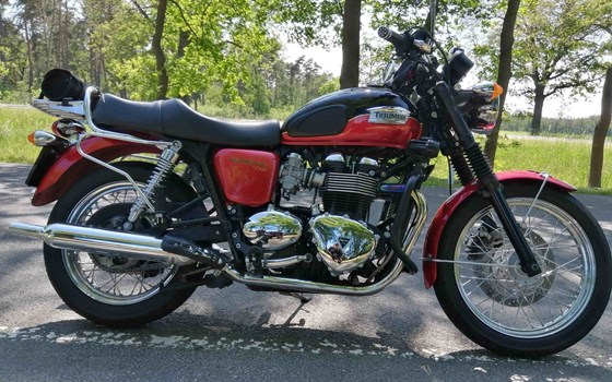 Gebrauchtmotorrad Triumph Bonneville T100 - Bild 3