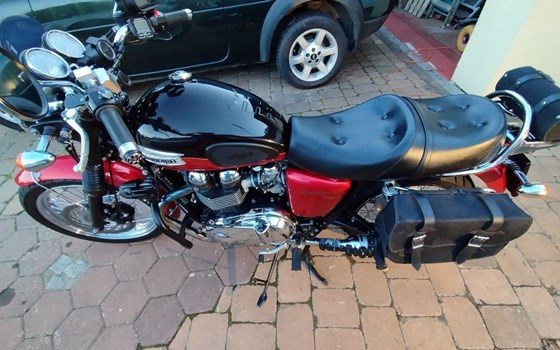 Gebrauchtmotorrad Triumph Bonneville T100 - Bild 6