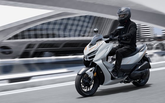 Neufahrzeug Zontes 368 D - Bild 4