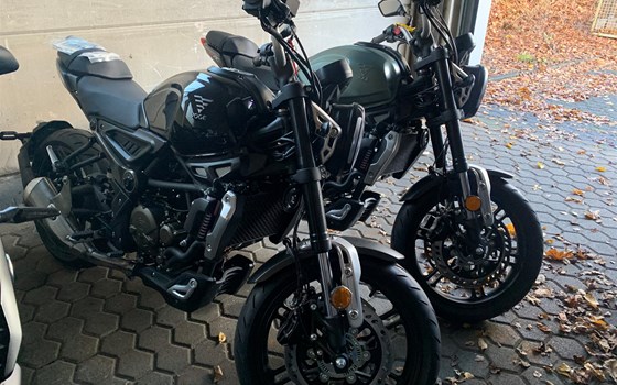 Neufahrzeug Voge 300AC - Bild 2