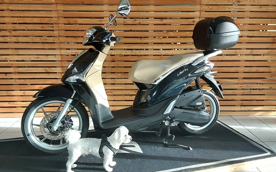 Gebrauchtmotorrad Piaggio Liberty 50 - Bild 1