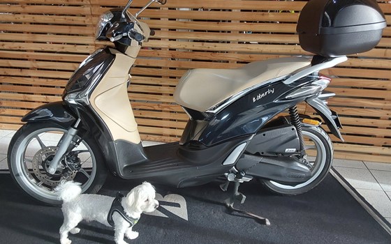 Gebrauchtmotorrad Piaggio Liberty 50 - Bild 2