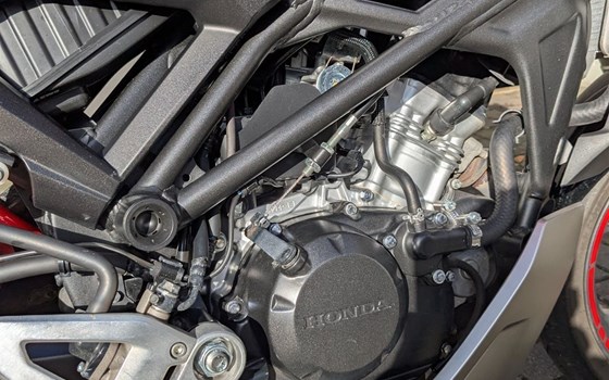 Gebrauchtmotorrad Honda CB125R - Bild 6