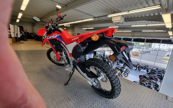 Gebrauchtmotorrad Honda CRF300L - Bild 5