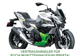 Neumotorrad Kawasaki Z7 Hybrid