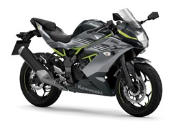 Neumotorrad Kawasaki Ninja 125