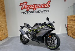 Neumotorrad Kawasaki Ninja 125