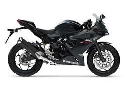 Neumotorrad Kawasaki Ninja 125