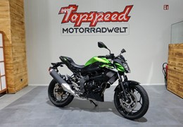 Neumotorrad Kawasaki Z125