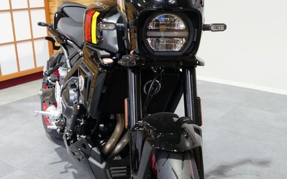 Neufahrzeug Suzuki GSX-8TT - Bild 6