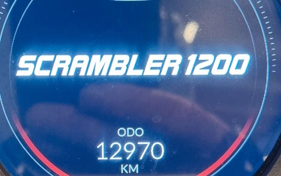 Gebrauchtmotorrad Triumph Scrambler 1200 XE - Bild 7