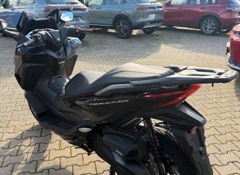 Neufahrzeug Honda Forza 350 - Bild 6