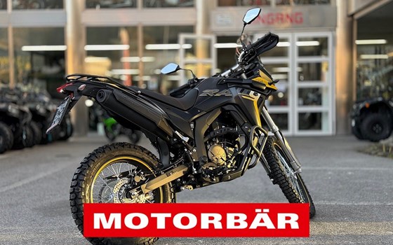 Neufahrzeug Voge 300 Rally - Bild 3