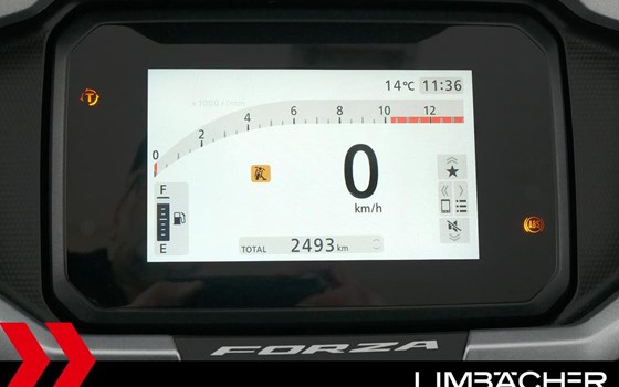 Gebrauchtmotorrad Honda Forza 125 - Bild 12