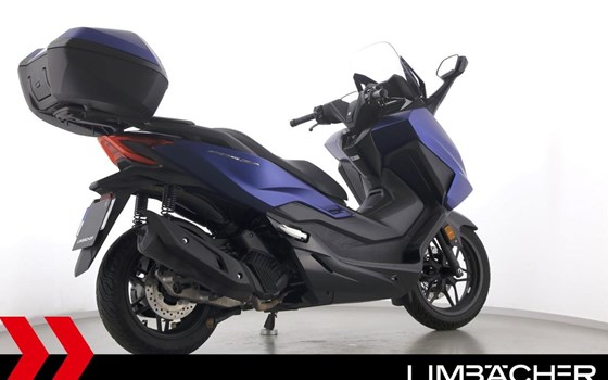 Gebrauchtmotorrad Honda Forza 125 - Bild 9