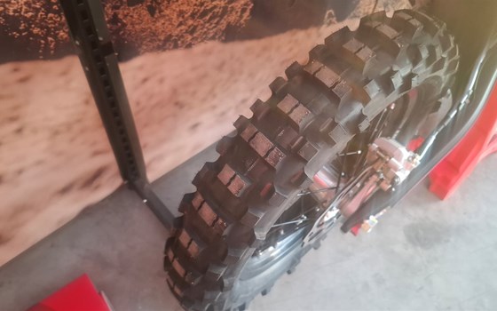 Neufahrzeug Beta RR 2T 300 - Bild 13