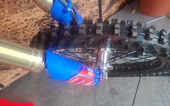 Neufahrzeug Beta RR 2T 300 - Bild 15